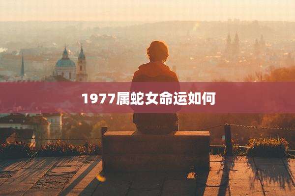 1977属蛇女命运如何