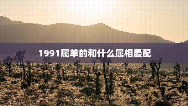 1991属羊的和什么属相最配