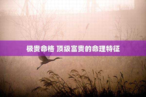 极贵命格 顶级富贵的命理特征