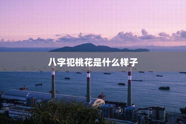 八字犯桃花是什么样子