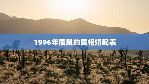 1996年属鼠的属相婚配表