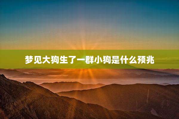 梦见大狗生了一群小狗是什么预兆