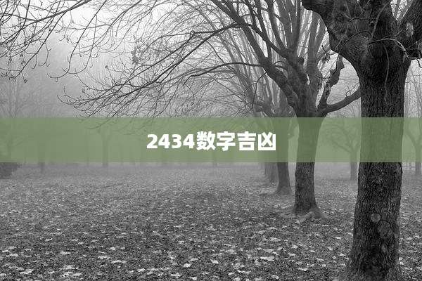2434数字吉凶