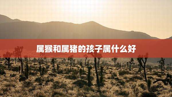 属猴和属猪的孩子属什么好
