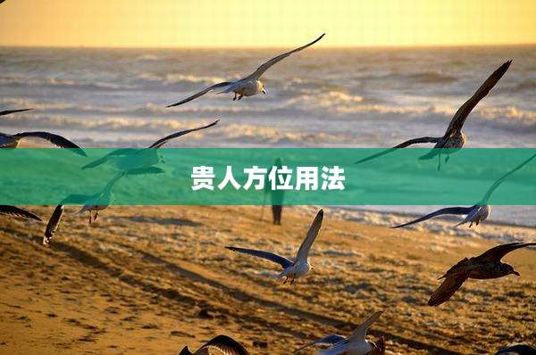 贵人方位用法