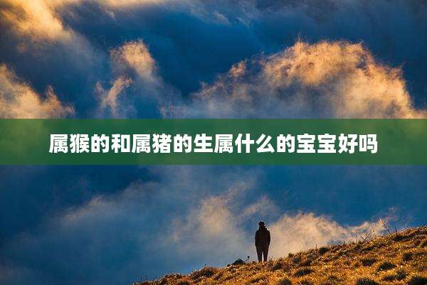 属猴的和属猪的生属什么的宝宝好吗
