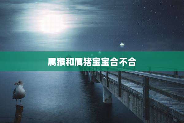 属猴和属猪宝宝合不合