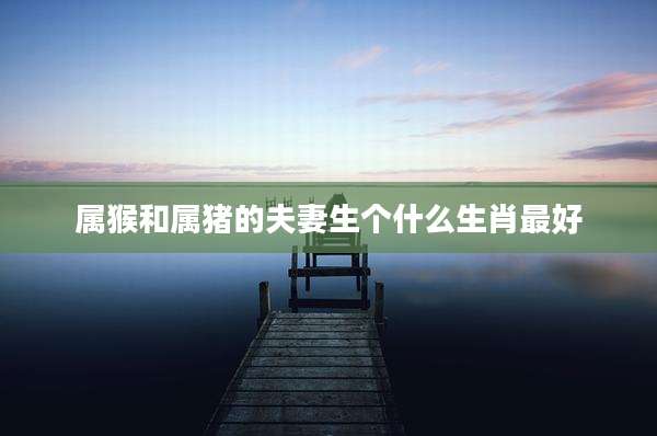 属猴和属猪的夫妻生个什么生肖最好