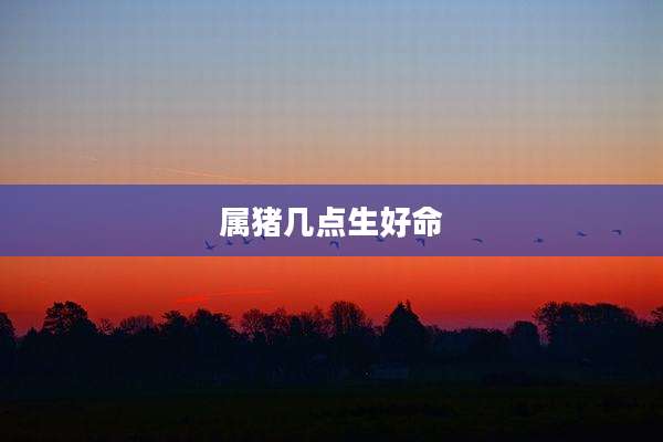 属猪几点生好命