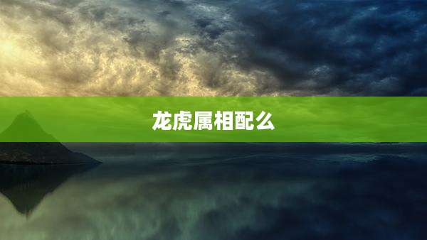 龙虎属相配么