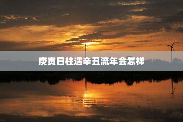 庚寅日柱遇辛丑流年会怎样