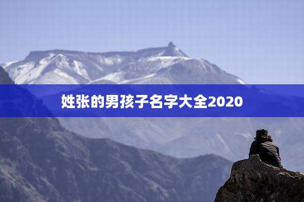 姓张的男孩子名字大全2020