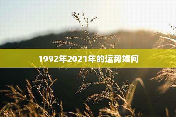 1992年2021年的运势如何