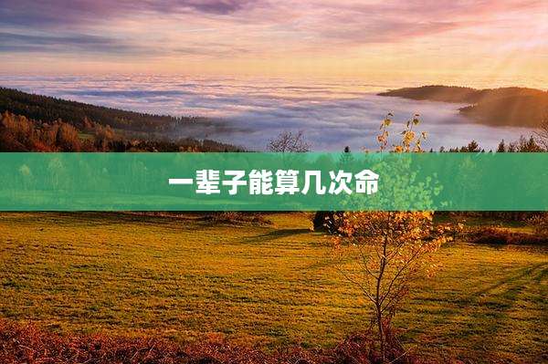 一辈子能算几次命