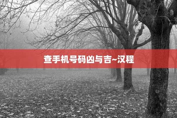 查手机号码凶与吉~汉程