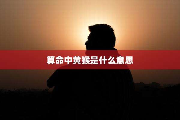 算命中黄猴是什么意思