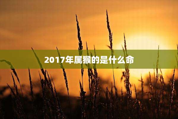 2017年属猴的是什么命