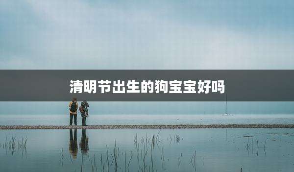 清明节出生的狗宝宝好吗