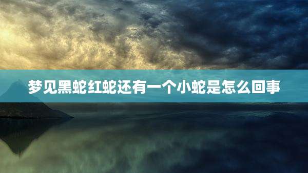 梦见黑蛇红蛇还有一个小蛇是怎么回事