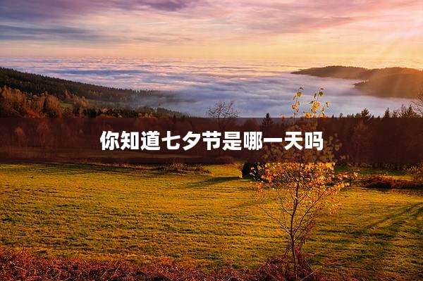 你知道七夕节是哪一天吗