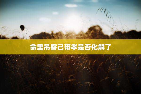命里吊客已带孝是否化解了