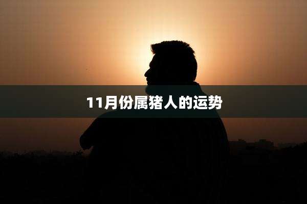 11月份属猪人的运势