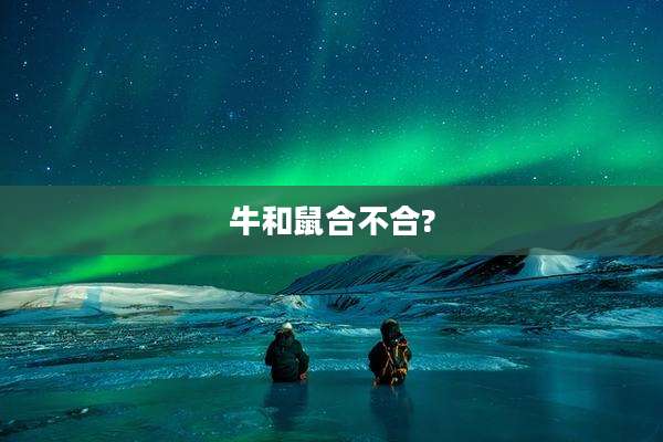 牛和鼠合不合?