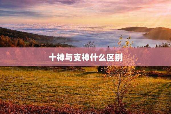 十神与支神什么区别