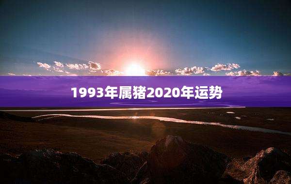 1993年属猪2020年运势