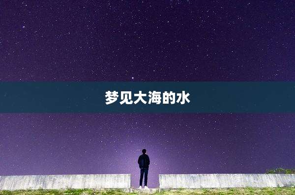 梦见大海的水