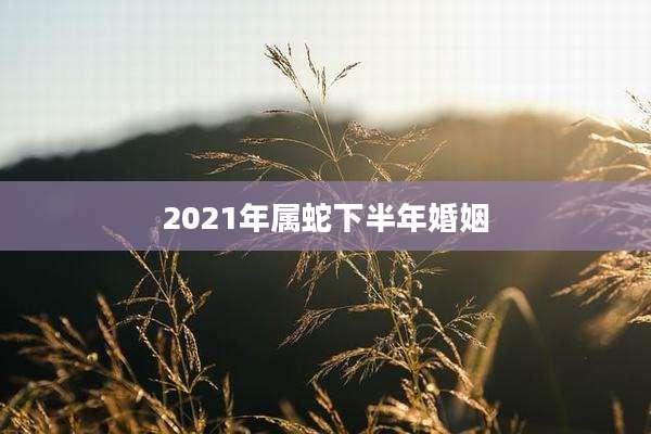 2021年属蛇下半年婚姻