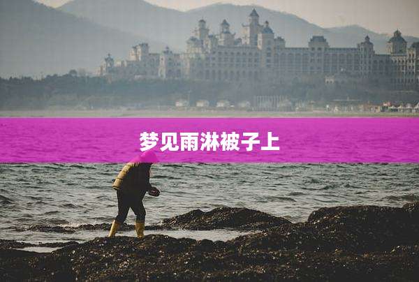 梦见雨淋被子上