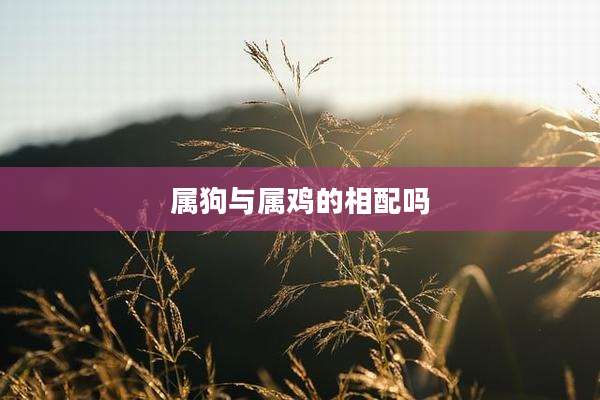 属狗与属鸡的相配吗