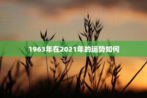 1963年在2021年的运势如何