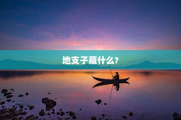 地支子藏什么?