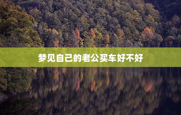 梦见自己的老公买车好不好