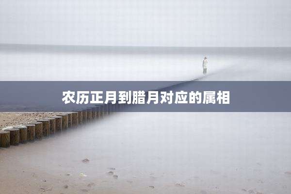 农历正月到腊月对应的属相