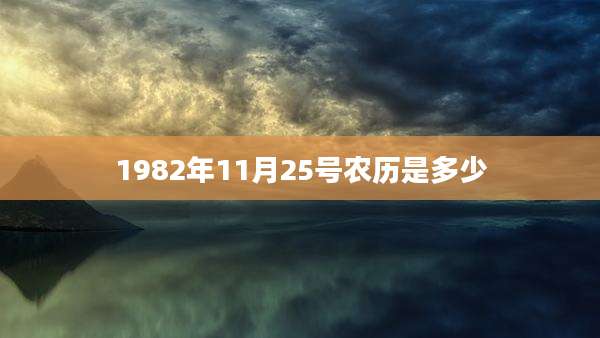 1982年11月25号农历是多少