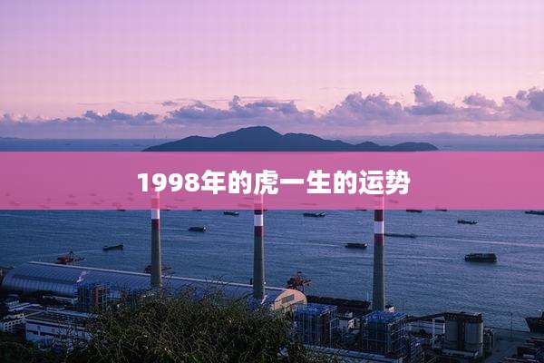 1998年的虎一生的运势