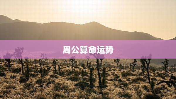 周公算命运势