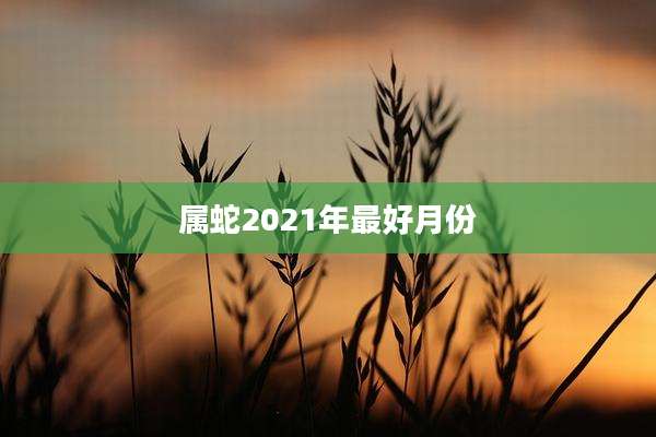 属蛇2021年最好月份