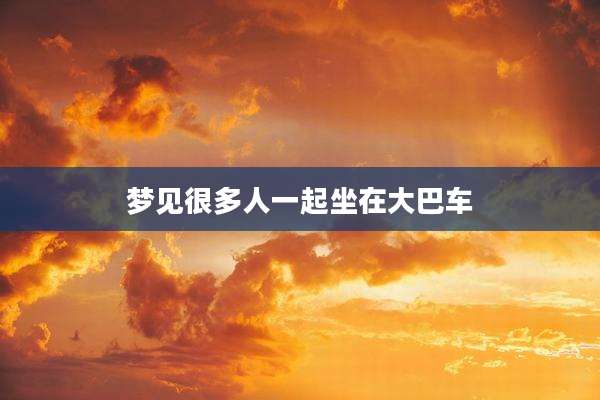 梦见很多人一起坐在大巴车
