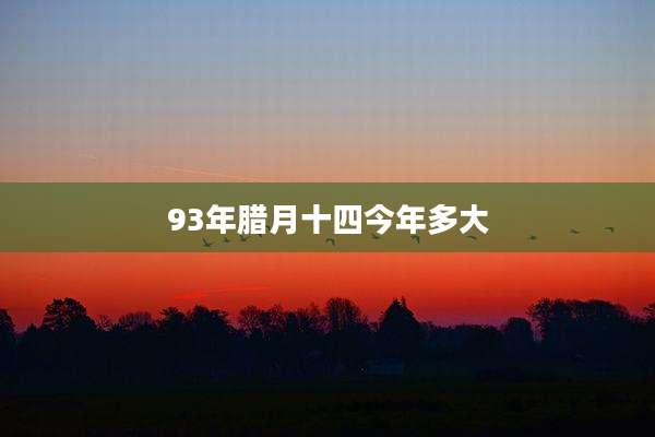 93年腊月十四今年多大
