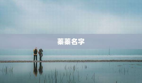 蓁蓁名字