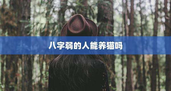 八字弱的人能养猫吗