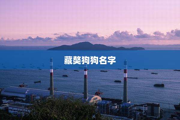 藏獒狗狗名字