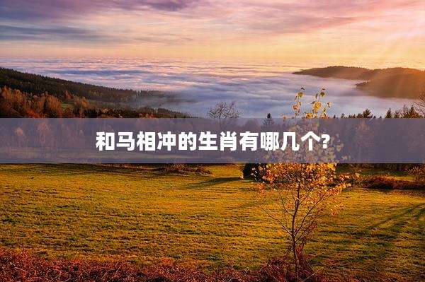 和马相冲的生肖有哪几个?
