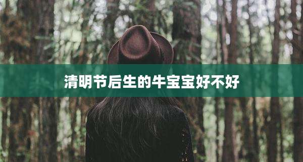 清明节后生的牛宝宝好不好