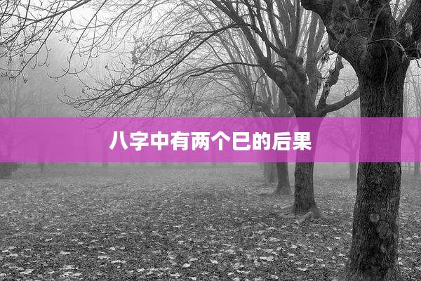 八字中有两个巳的后果