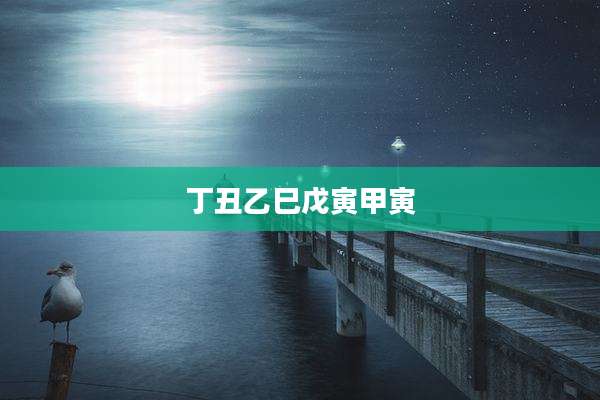 丁丑乙巳戊寅甲寅